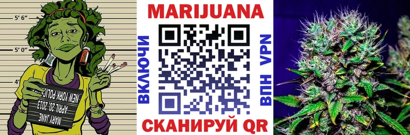 Бошки Шишки гибрид  Славск 